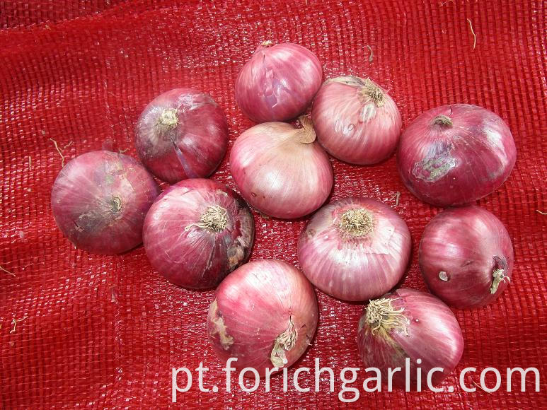 Red Onion